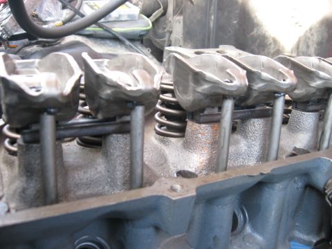 1981 Ford Bronco - The internal components of an engine's valve train are shown in this detailed photograph.