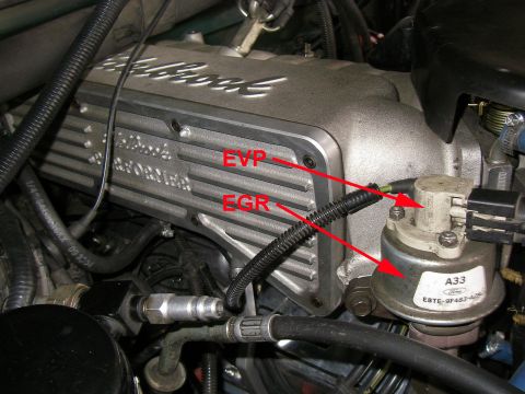 1990 Ford Bronco - Close-up of engine components, including the EGR and EVP sensors.