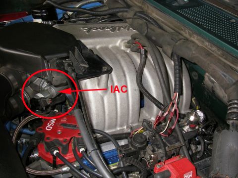 IAC