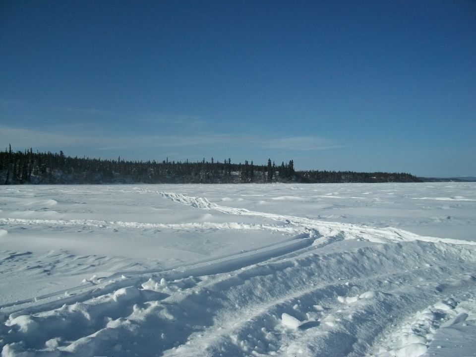 Snowy landscape with tracks and a distant treeline under a blue sky
