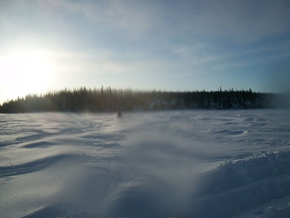 Snowmobile moving across a snowy field with trees in the background and sun low in the sky