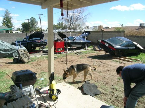 1995 Ford Probe - Multiple vehicles are in various states of repair in a backyard with a dog and a person present.