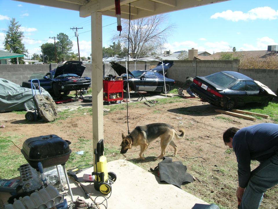 Three black cars in a yard, one on ramps, with a dog and a person