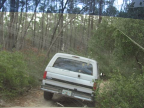 1990 Ford Bronco - White Ford Bronco with camper shell navigates a wooded dirt road.