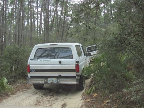 1990 Ford Bronco - Two vehicles navigate a sandy path through a dense forest with tall trees and undergrowth.