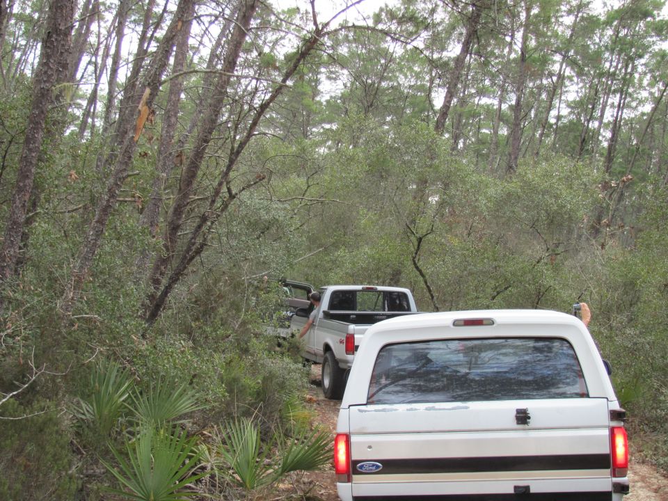 White pickup truck rear view, with a second white pickup truck ahead on a dirt road in a wooded area