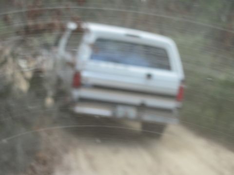 1990 Ford Bronco - A white SUV is seen from the rear driving on a dirt road, kicking up dust.