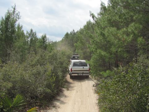 1990 Ford Bronco - Several vehicles travel down a dusty trail surrounded by dense trees and vegetation.