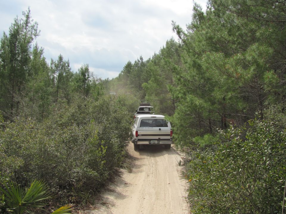 White SUV and another vehicle drive down a dirt road through a forest