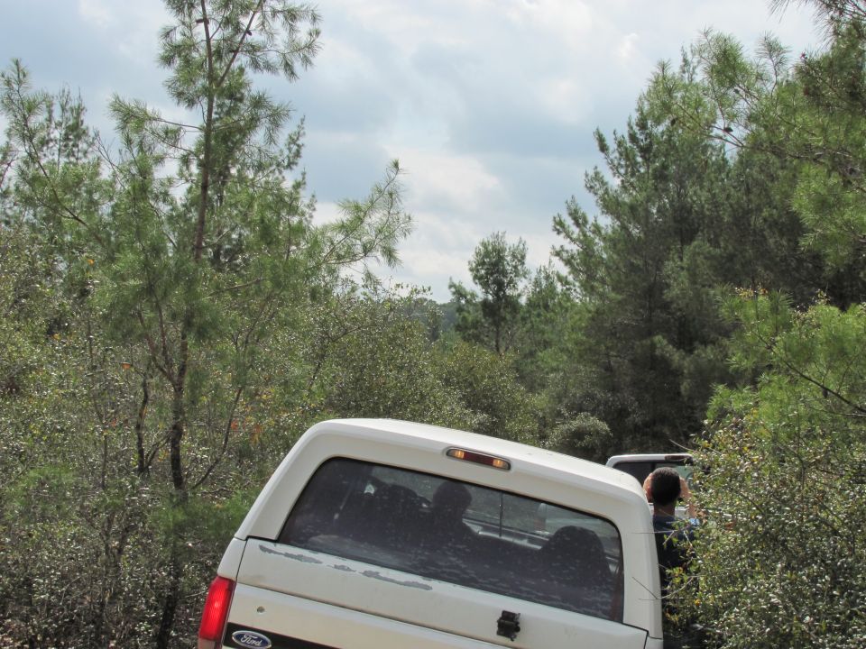 1990 Ford Bronco driving on a dirt road with trees on either side. Another vehicle is visible behind it