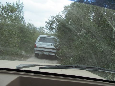 1990 Ford Bronco - A white SUV navigates a narrow dirt path flanked by thick green bushes and trees.