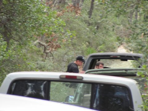 1990 Ford Bronco - Two individuals are visible inside a green SUV with its top removed, partially obscured by a white pickup truck in the foreground.