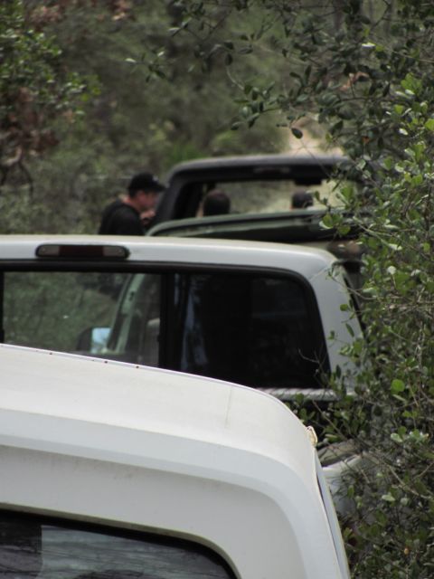 1990 Ford Bronco - Two trucks are parked in a wooded area, partially hidden by trees and bushes.