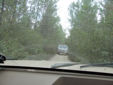 1990 Ford Bronco - Following a white pickup truck down a dusty, tree-lined dirt road.