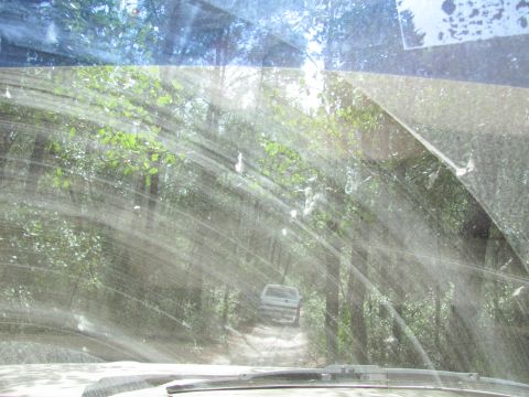 1990 Ford Bronco - A white SUV navigates a dirt path surrounded by dense trees, seen through a dusty windshield.