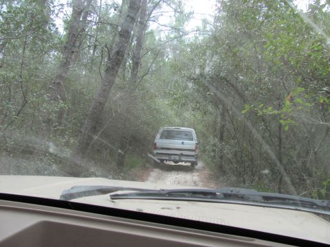 1990 Ford Bronco - A silver SUV navigates a dirt road surrounded by trees, viewed from the interior of another vehicle.