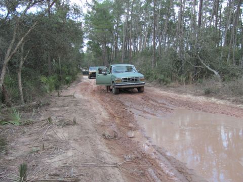 1990 Ford Bronco - A convoy of trucks navigates a muddy, wooded trail, with the lead truck appearing to be a 1992 Ford F-150.
