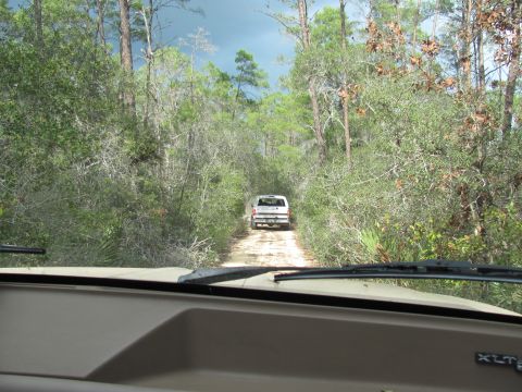 1990 Ford Bronco - Two vehicles travel down a dusty forest road under a cloudy sky.