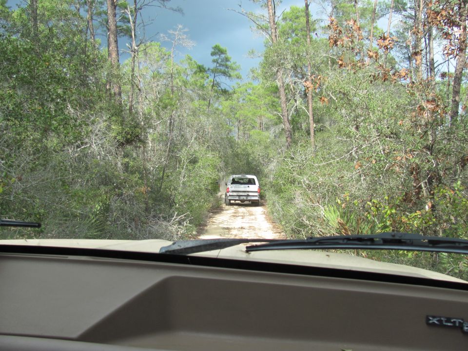 White SUV driving down a dirt road through a forest. Shot from inside another vehicle