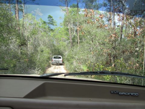 1990 Ford Bronco - A white Ford Bronco is seen from inside another vehicle driving down a dirt road surrounded by trees.
