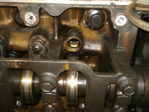1998 Ford Crown Victoria - Internal engine components, including camshafts and valve springs, are shown in this close-up view.
