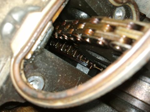 1998 Ford Crown Victoria - Close-up view of engine timing chain and gears, likely during maintenance or repair.