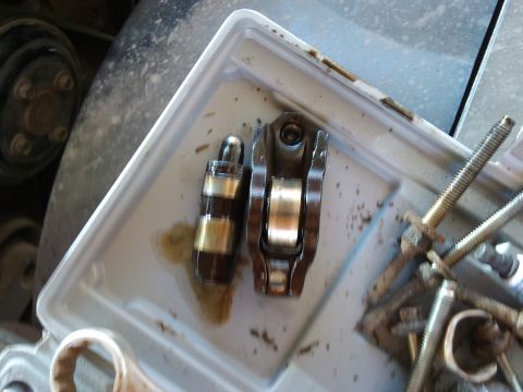 1998 Ford Crown Victoria - Valve train components are shown in a tray, likely during a repair or maintenance procedure.