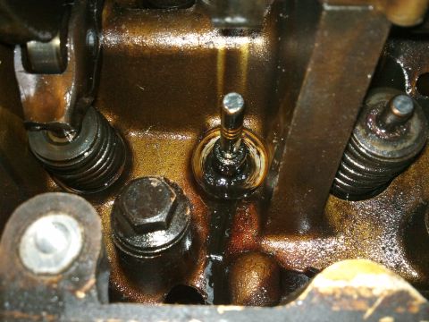 1998 Ford Crown Victoria - Engine internals are visible in this close-up of the valve train, covered in oil.