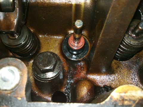 1998 Ford Crown Victoria - Engine valve stem seal detail, likely during repair or inspection.