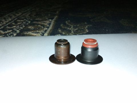 1998 Ford Crown Victoria - Comparison of old and new valve stem seals.