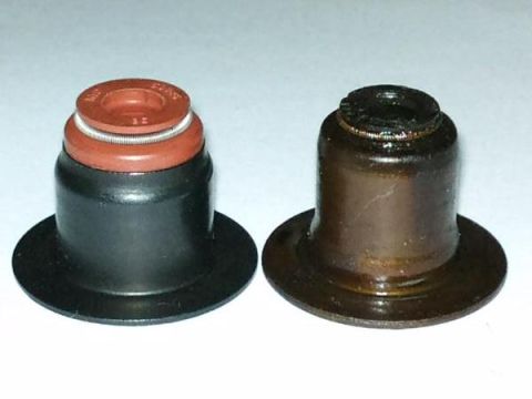 1998 Ford Crown Victoria - Comparison of a new valve seal and a used one, likely for a valve seals replacement job.