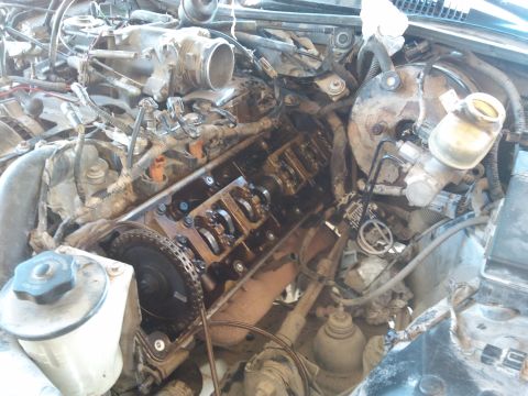 1998 Ford Crown Victoria - Close-up view of an engine bay with the valve cover removed, revealing internal components like the camshaft and timing chain.