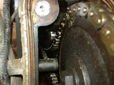 1998 Ford Crown Victoria - Engine timing chain and gears are visible in this close-up mechanical view.