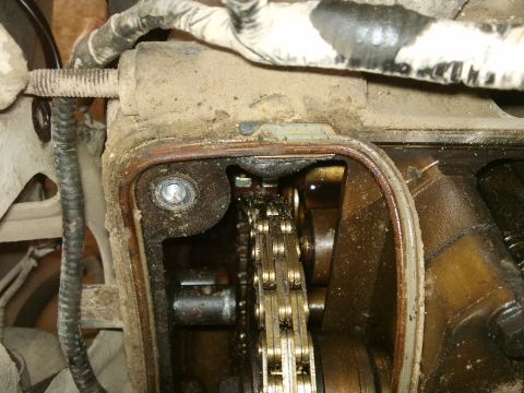 1998 Ford Crown Victoria - Engine internals are visible, showing a timing chain and associated gears within a dusty engine bay.