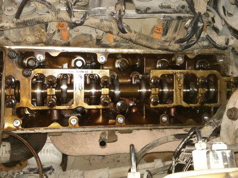 1998 Ford Crown Victoria - Close-up view of an engine's valve train, showing camshafts and associated components.