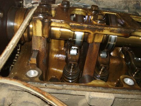 1998 Ford Crown Victoria - Close-up view of an engine's internal valve train components, covered in oil.