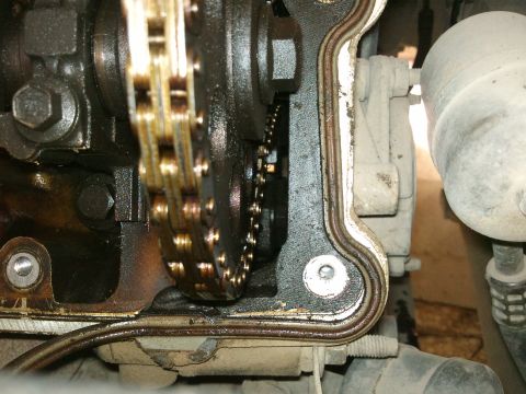1998 Ford Crown Victoria - Close-up view of an engine's timing chain and valve cover gasket, showing oil residue and visible text from a website.