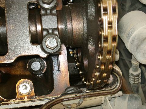 1998 Ford Crown Victoria - Close-up view of engine timing chain and gears, with a watermark for Supermotors.net visible.
