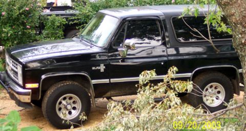 1991 Ford Crown Victoria LTD - This black Chevrolet K5 Blazer is seen from a 3/4 front angle, partially obscured by foliage. Another vehicle is visible in the background.