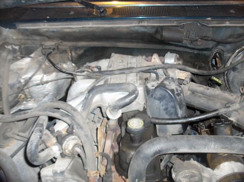 1994 Ford F-150 - Close-up view of a vehicle's engine bay, showing various hoses and mechanical parts.