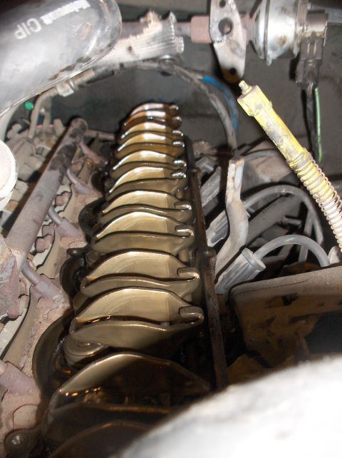 1994 Ford F-150 - Close-up of an engine's valve train, showing multiple rocker arms.