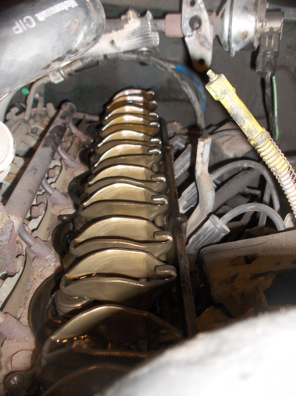 Engine valve train with oil, close-up view