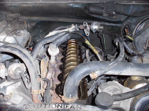 1994 Ford F-150 - Close-up of an engine bay, focusing on the valve cover and associated hoses and wiring.