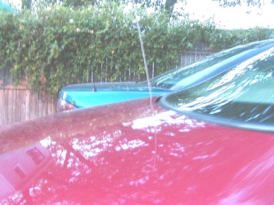 1997 Ford Taurus - Two vehicles are parked next to each other in front of a wooden fence and dense foliage.