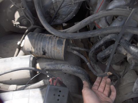 1994 Ford F-150 - Engine bay detail with various hoses and a filter visible, a hand is present.