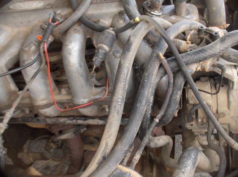 1994 Ford F-150 - A close-up view of engine components, including various hoses and the intake manifold, with some visible part numbers.