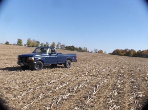 1994 Ford F-150 photo