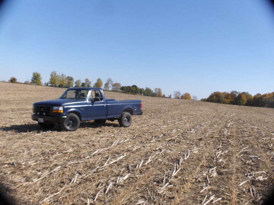 Blue 1994 Ford F-150 pickup truck parked in a harvested field