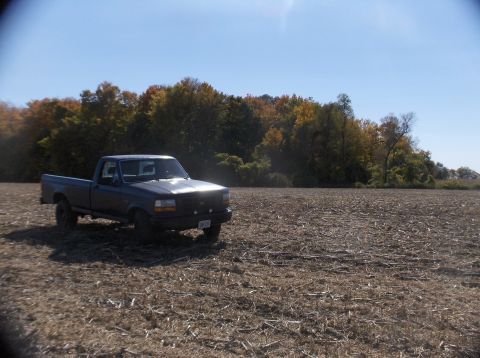 1994 Ford F-150 photo