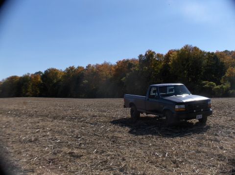1994 Ford F-150 photo